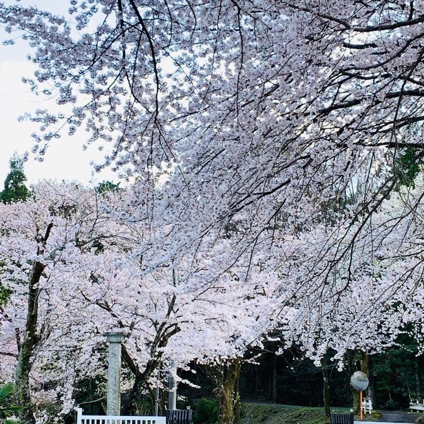 だるま大使さんが投稿した天然温泉 湯元 湯華の郷に関する口コミの画像