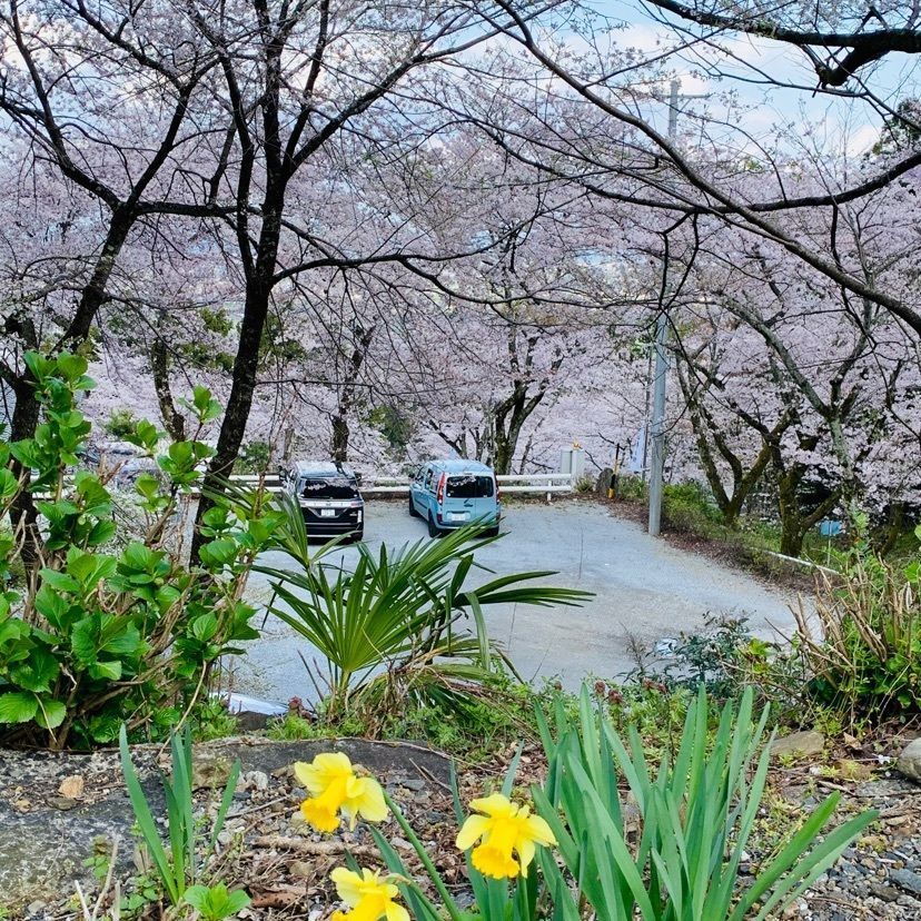 だるま大使さんが投稿した天然温泉 湯元 湯華の郷に関する口コミの画像