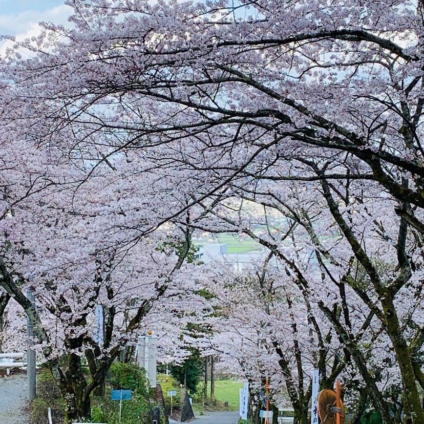 だるま大使さんが投稿した天然温泉 湯元 湯華の郷に関する口コミの画像