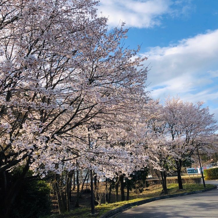 サトツルさんが投稿した道の駅うつのみや ろまんちっく村に関する口コミの画像