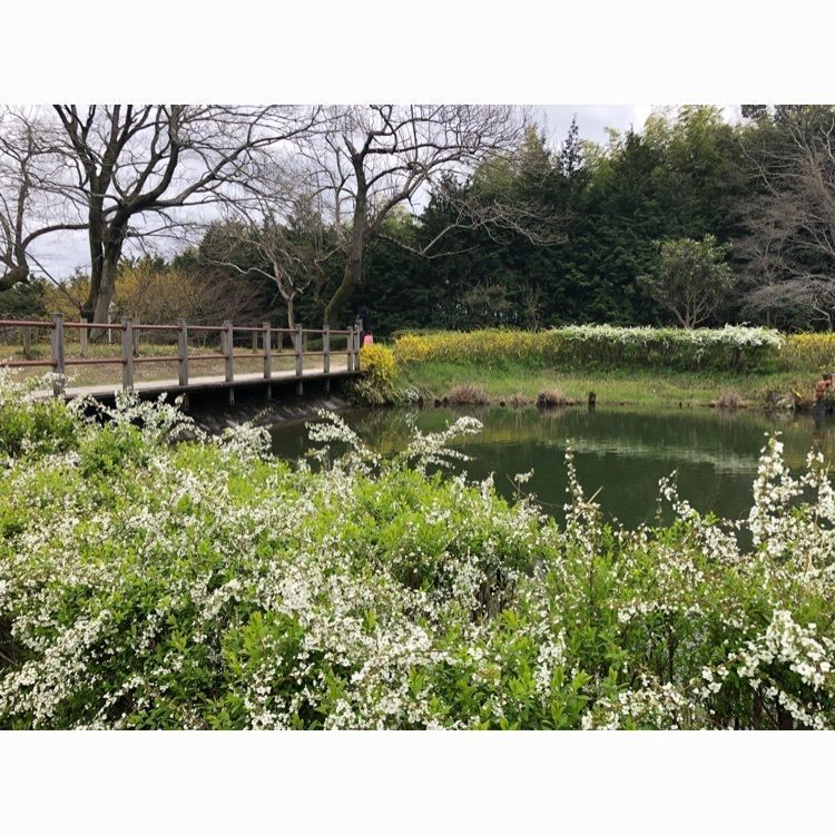 ゆうさんが投稿した二上山ふるさと公園に関する口コミの画像