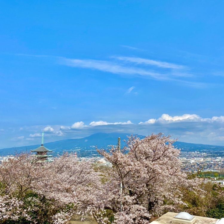 RIMさんが投稿した沼津甲羅本店八宏園に関する口コミの画像