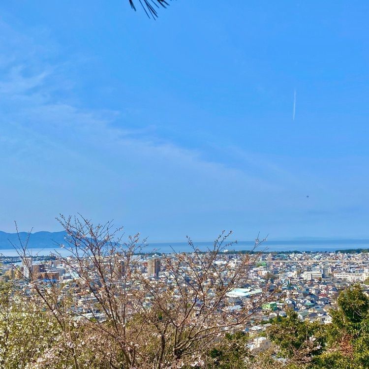 RIMさんが投稿した沼津甲羅本店八宏園に関する口コミの画像
