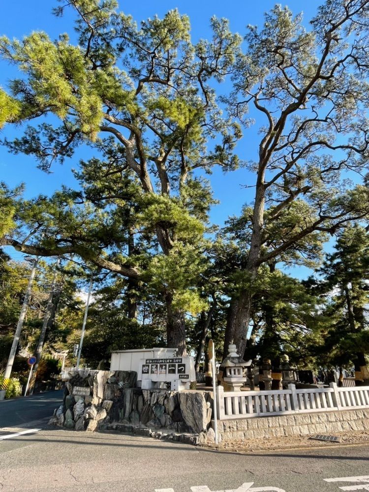 ダルマ大使さんが投稿した蒲郡クラシックホテルに関する口コミの画像