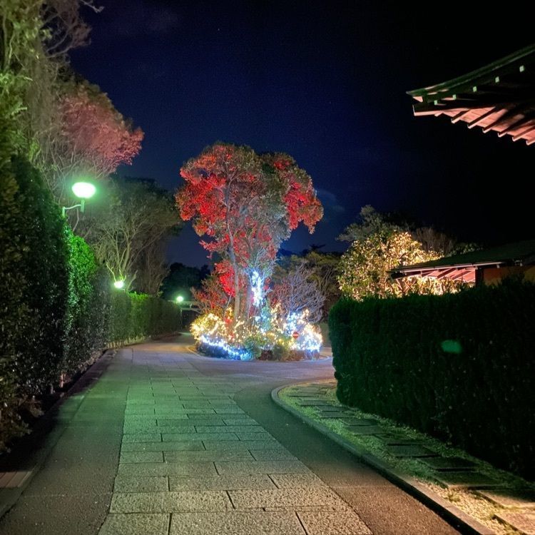 familiar_museum_5491さんが投稿した赤沢温泉ホテルに関する口コミの画像