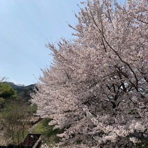 ローズファーム 2枚目