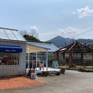 ローズファーム 4枚目