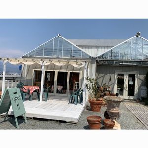 ローズファーム 5枚目