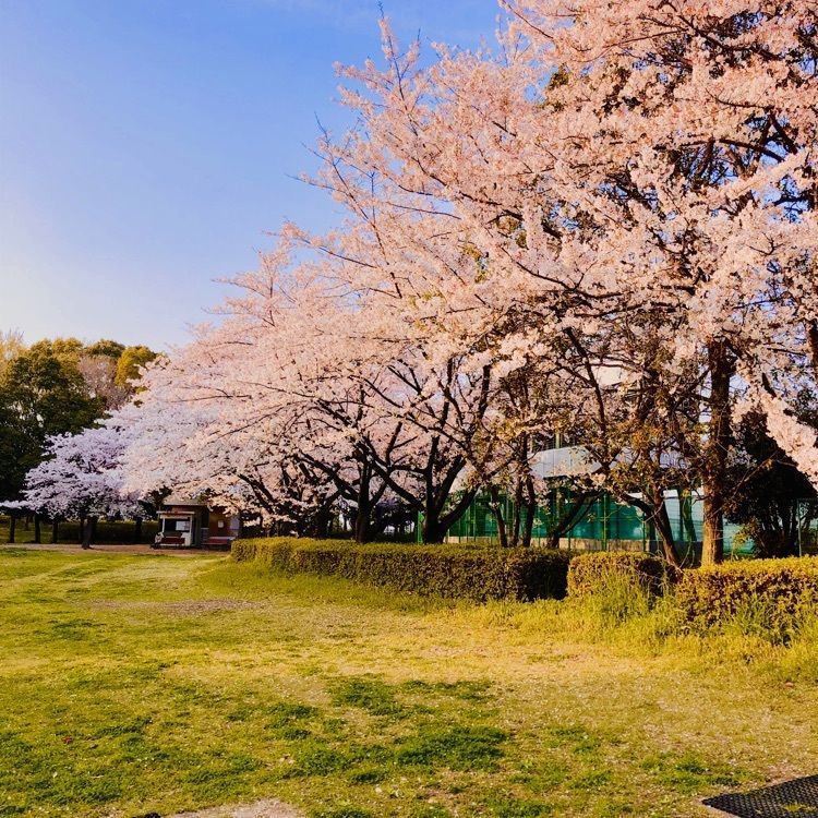 れいんぼうれいんぼうさんが投稿した満る岡 （まるおか）に関する口コミの画像