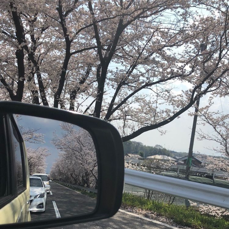 rich628さんが投稿した新境川堤に関する口コミの画像