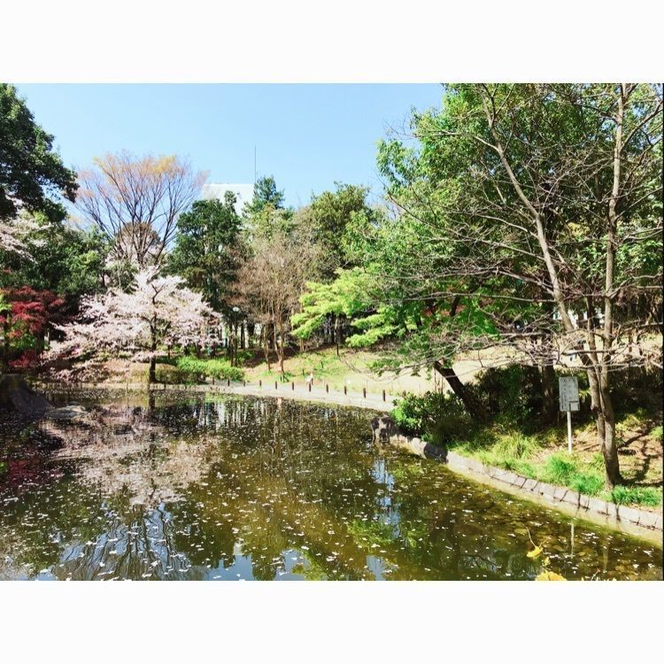 mayday1203さんが投稿した蚕糸の森公園に関する口コミの画像