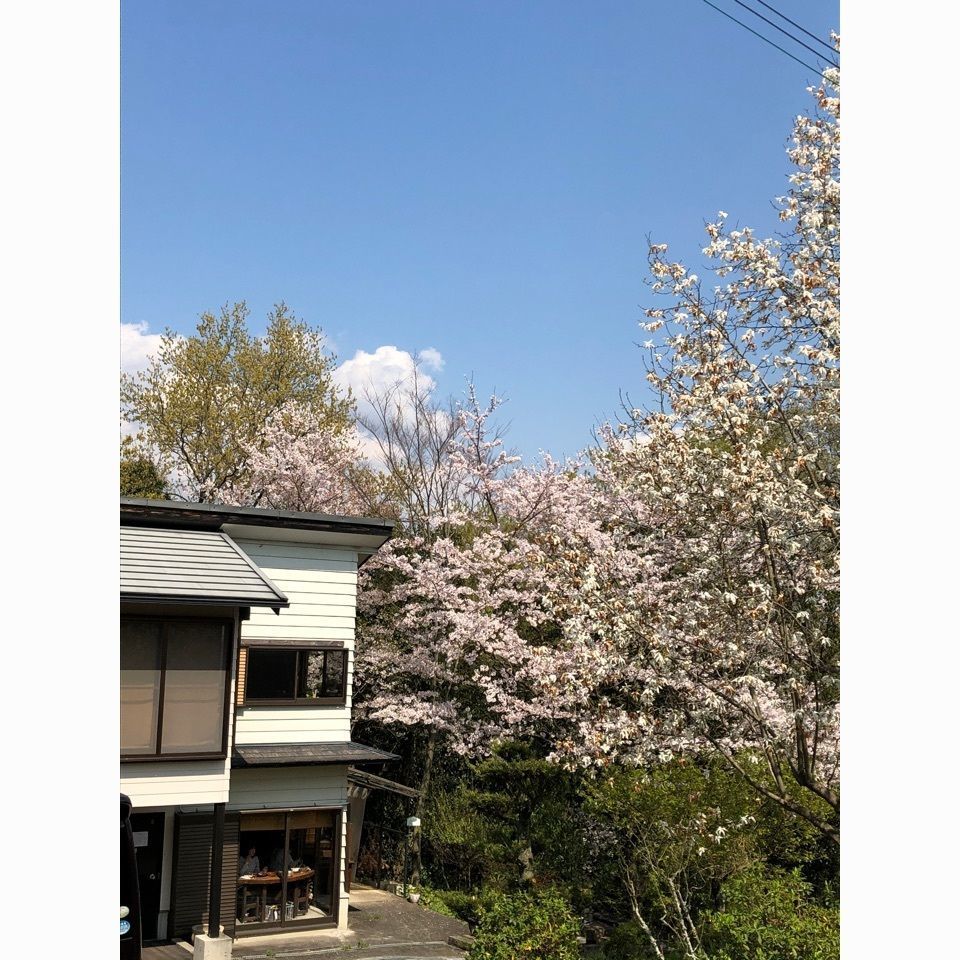 kayoさんが投稿したｍｕｔｅ．（ミュート）に関する口コミの画像