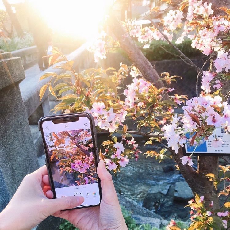 ruujunさんが投稿した夙川公園に関する口コミの画像