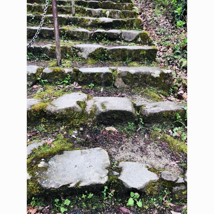 ゆうさんが投稿した二上山ふるさと公園に関する口コミの画像