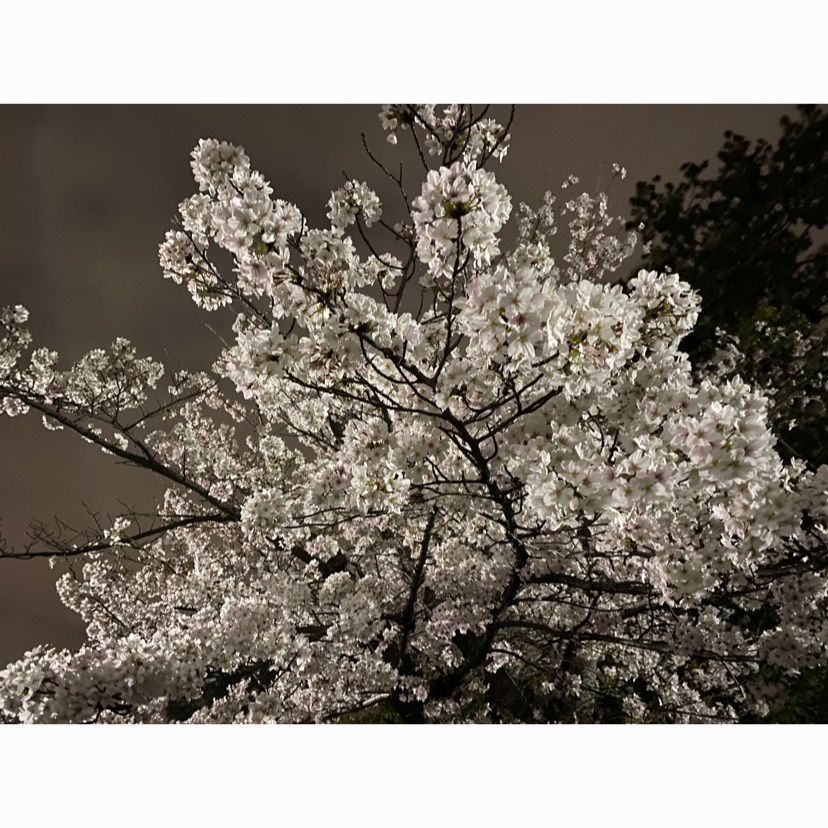 mさんが投稿した豊中市に関する口コミの画像
