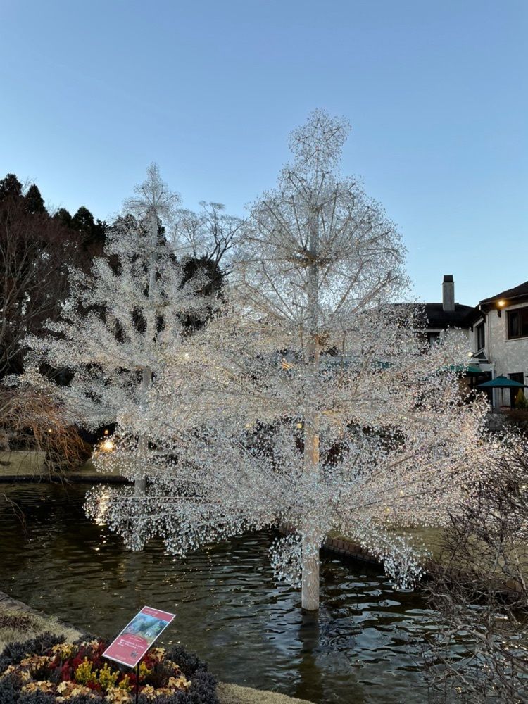 fumiさんが投稿した庭園ショップに関する口コミの画像