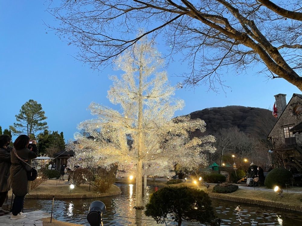 fumiさんが投稿した庭園ショップに関する口コミの画像
