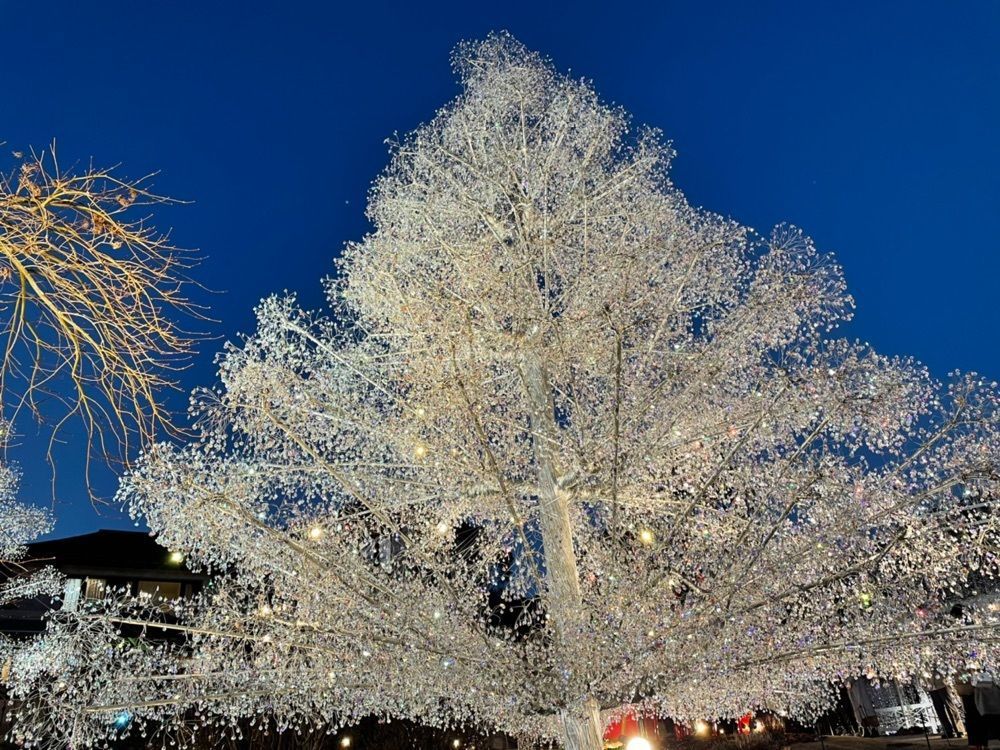fumiさんが投稿した庭園ショップに関する口コミの画像