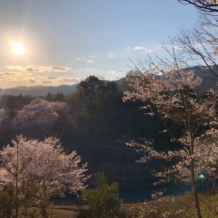 empty gate 1129さんが投稿した金剛山（奈良県御所市）に関する口コミの画像