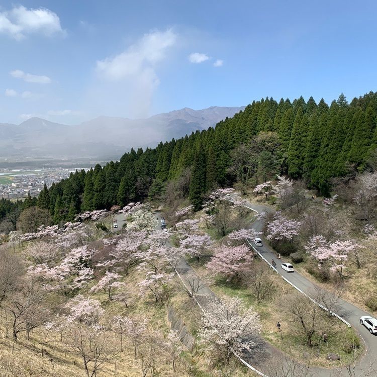 formal_cafeteria_8688さんが投稿した高森峠の千本桜に関する口コミの画像