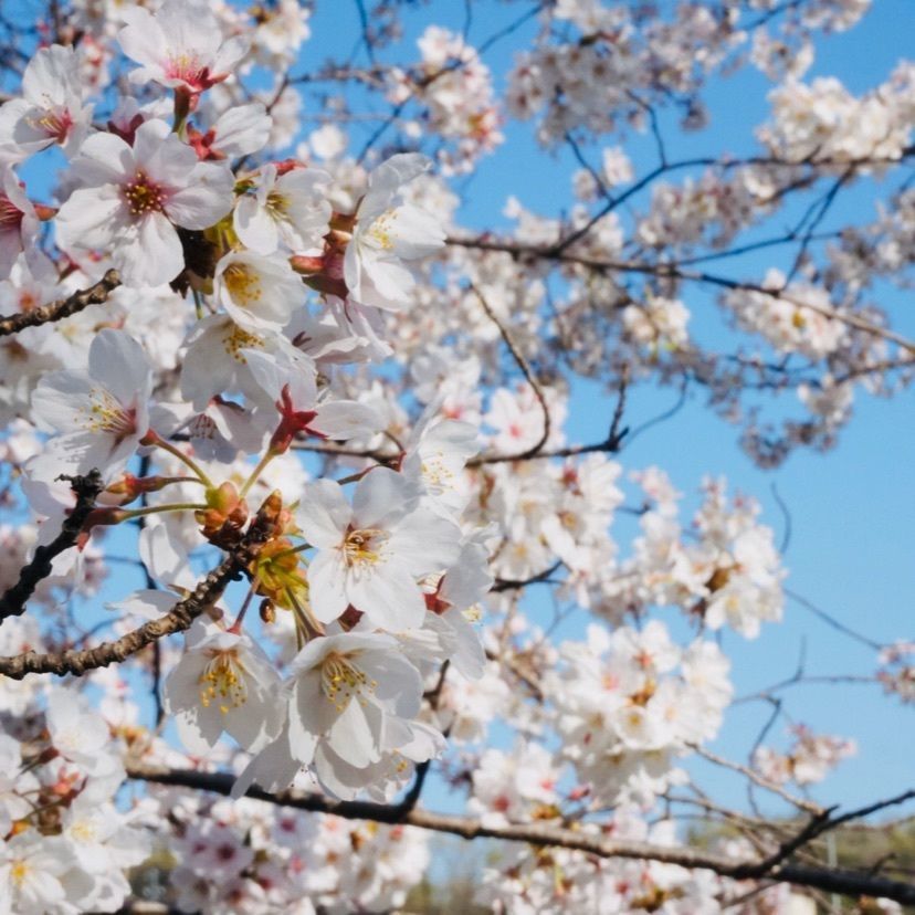 masaさんが投稿した水源公園に関する口コミの画像