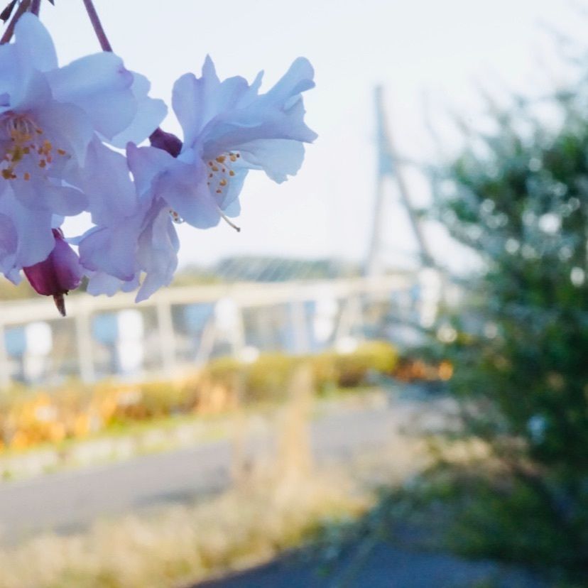 masaさんが投稿した水源公園に関する口コミの画像