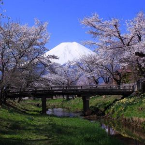 忍野村