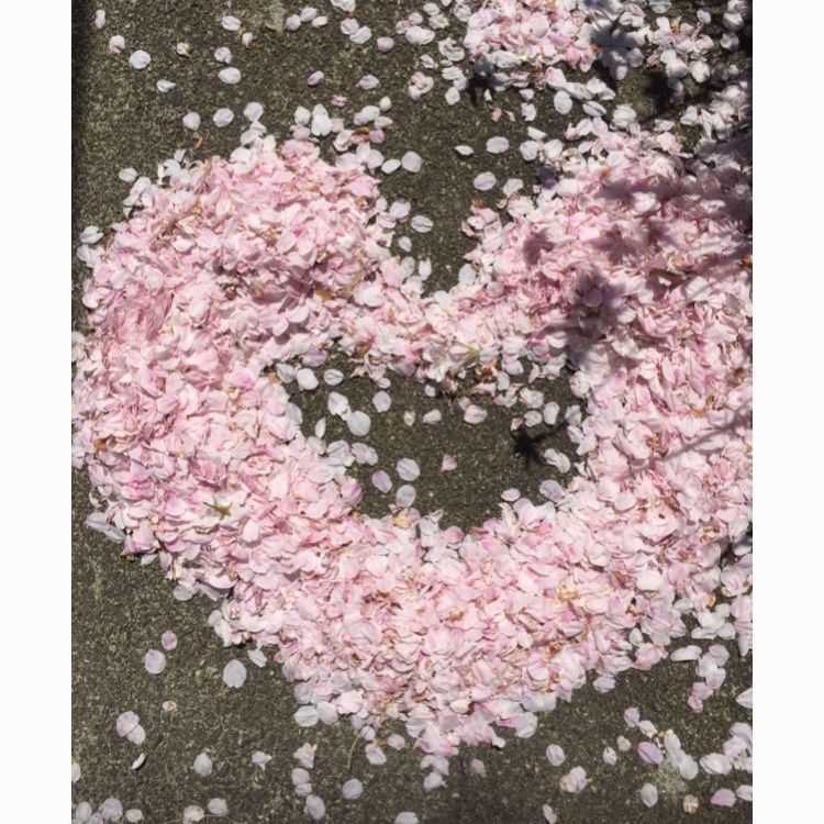 Annashuna0830さんが投稿した横浜市南区に関する口コミの画像