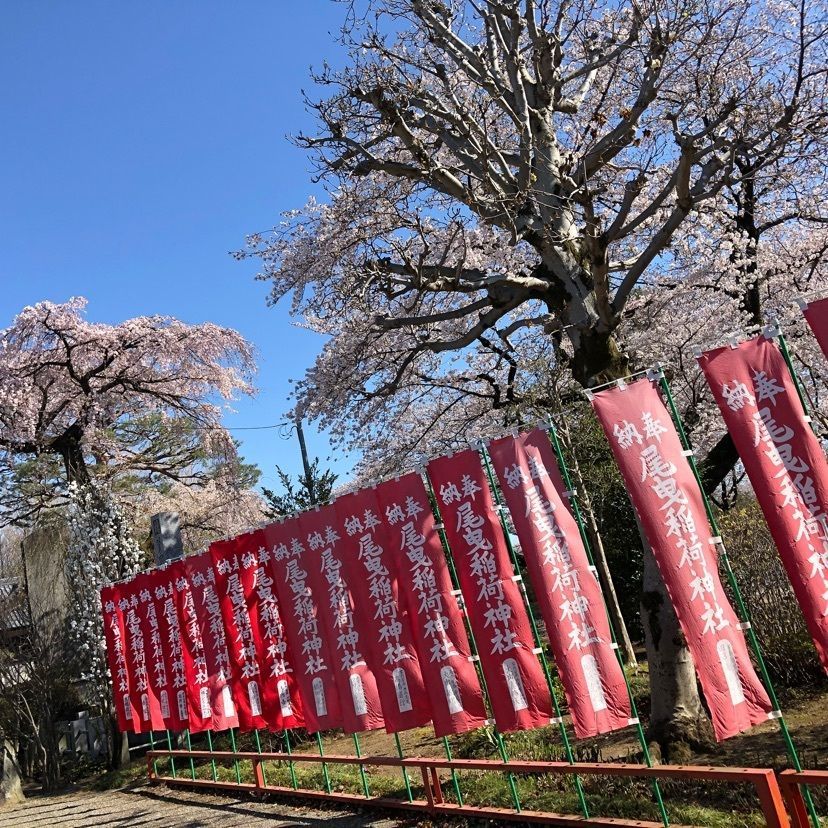 gyuさんが投稿した朝陽の小径に関する口コミの画像