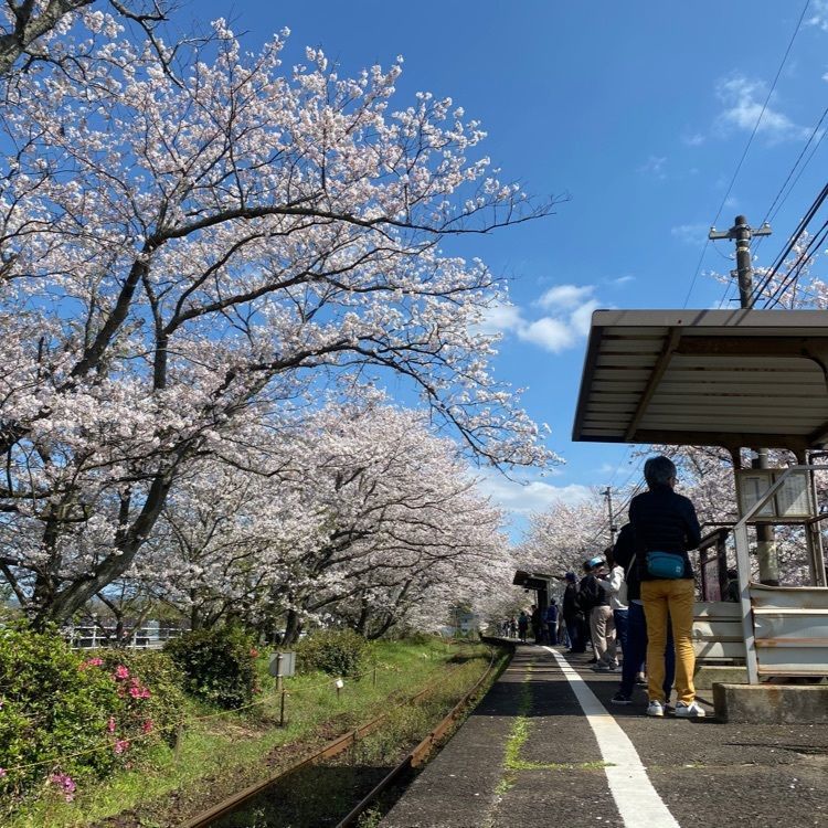 mt0130さんが投稿した浦ノ崎駅に関する口コミの画像