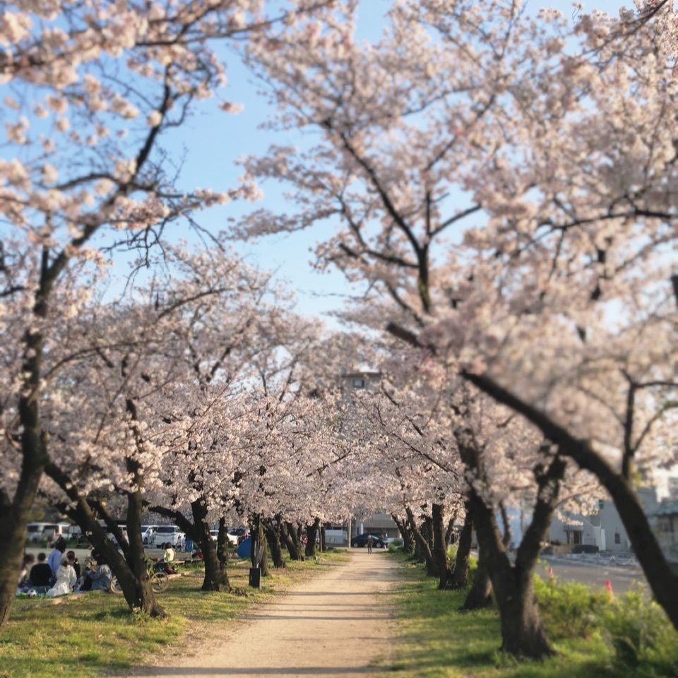 みどうさんが投稿した二子山古墳に関する口コミの画像