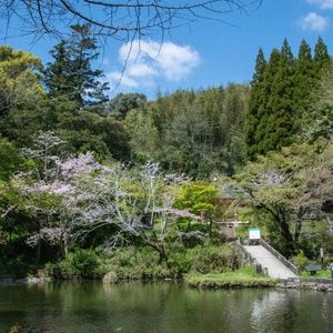 施設画像