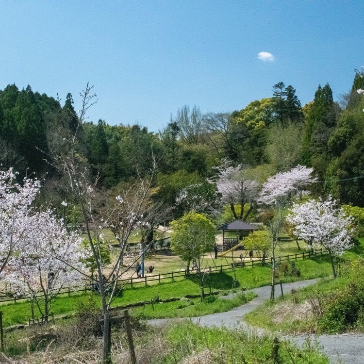 mauge850さんが投稿した小野泉水公園に関する口コミの画像