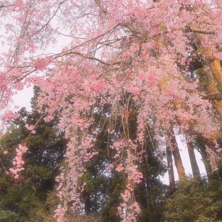 Musashiさんが投稿した仙塩ゴルフ倶楽部浦霞コースに関する口コミの画像