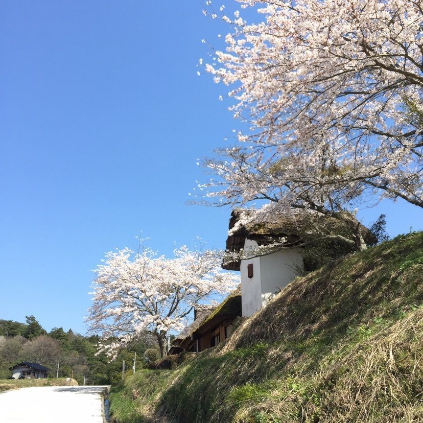 joyful_tourismさんが投稿した八塔寺ふるさと村民俗資料館に関する口コミの画像