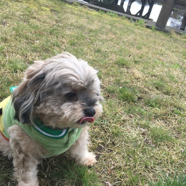 しょうさんが投稿した黒磯公園に関する口コミの画像