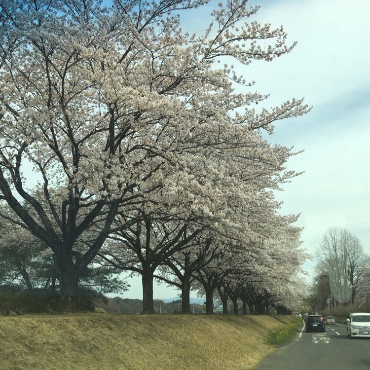 しょうさんが投稿した黒磯公園に関する口コミの画像