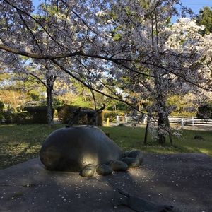 半田市観光協会 2枚目