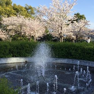 半田市観光協会 4枚目