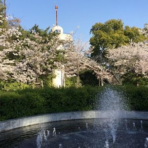 半田市観光協会 5枚目