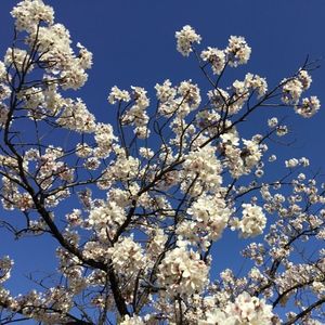 半田市観光協会 7枚目