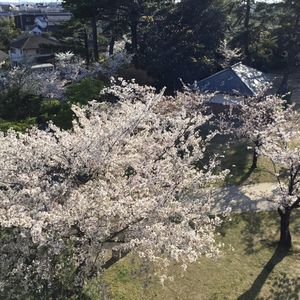 半田市観光協会 8枚目