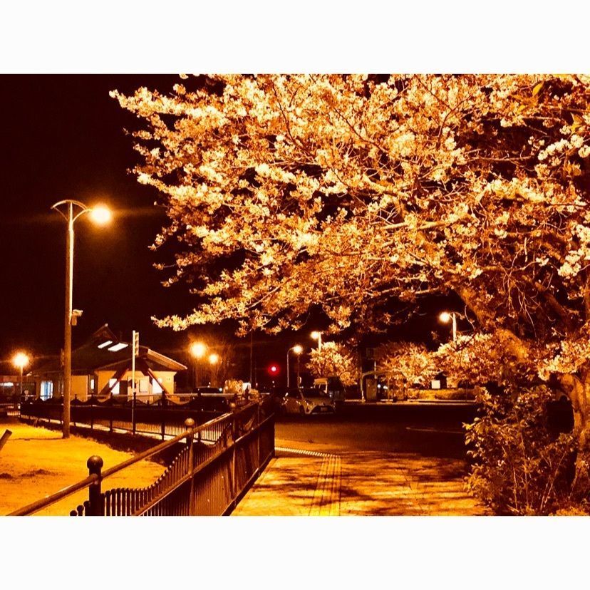 Hiroxさんが投稿した霞ケ浦ふれあいランドに関する口コミの画像