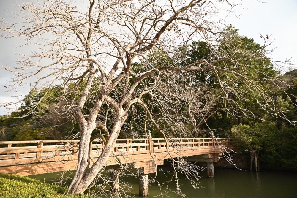 佳さんが投稿した松江神社に関する口コミの画像