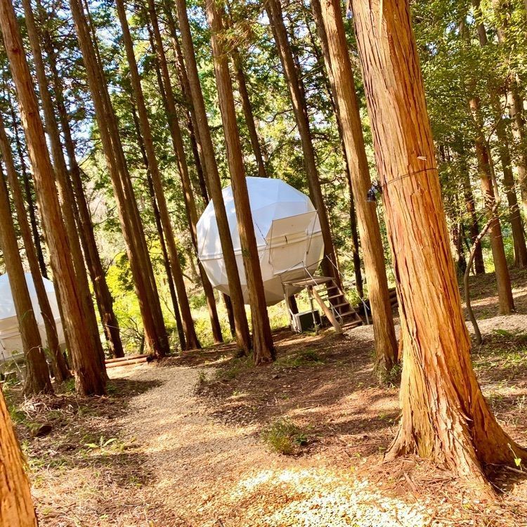 RIMさんが投稿した泊まれる公園「INN THE PARK」に関する口コミの画像