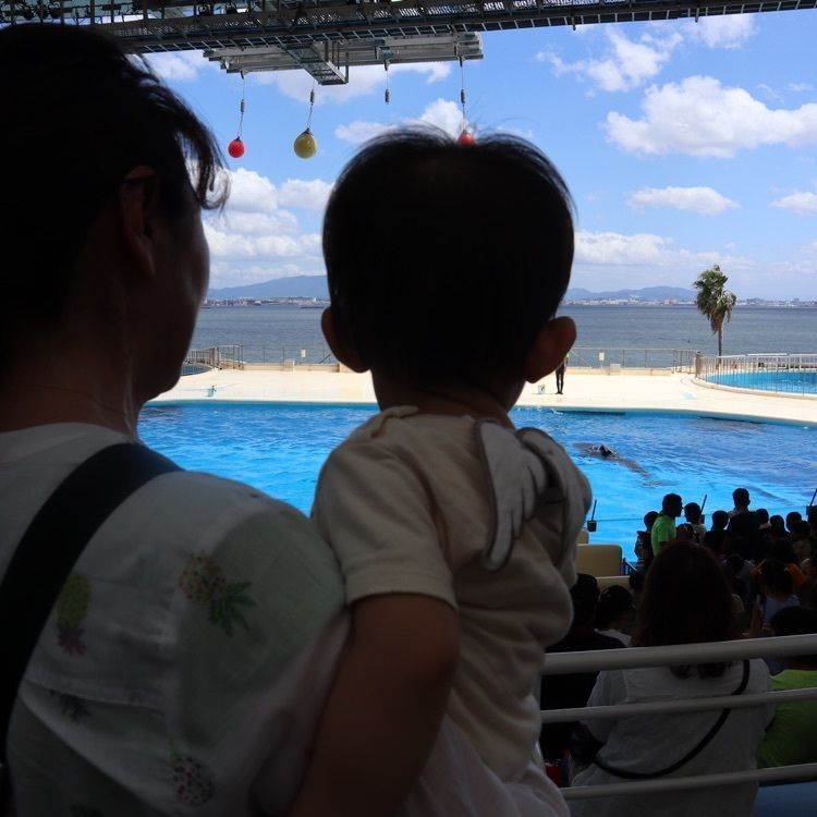 そうちゃんさんが投稿したマリンワールド海の中道に関する口コミの画像