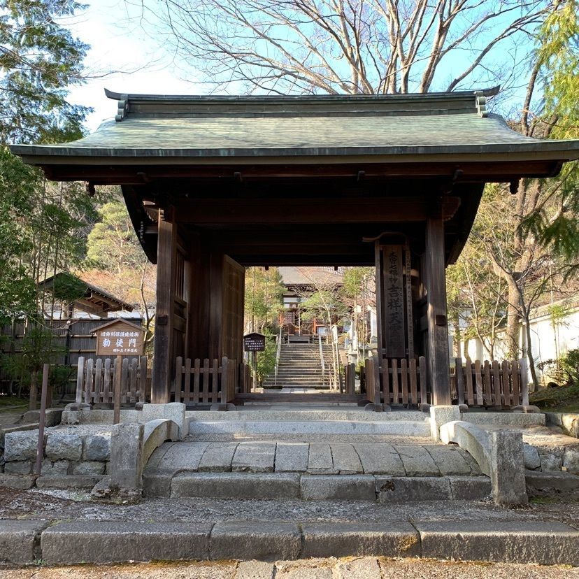 しゃんぽんさんが投稿した興禅寺の時雨桜に関する口コミの画像