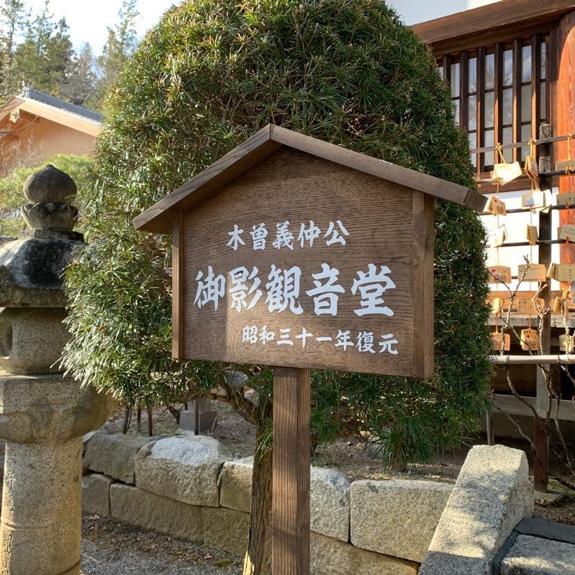 しゃんぽんさんが投稿した興禅寺の時雨桜に関する口コミの画像