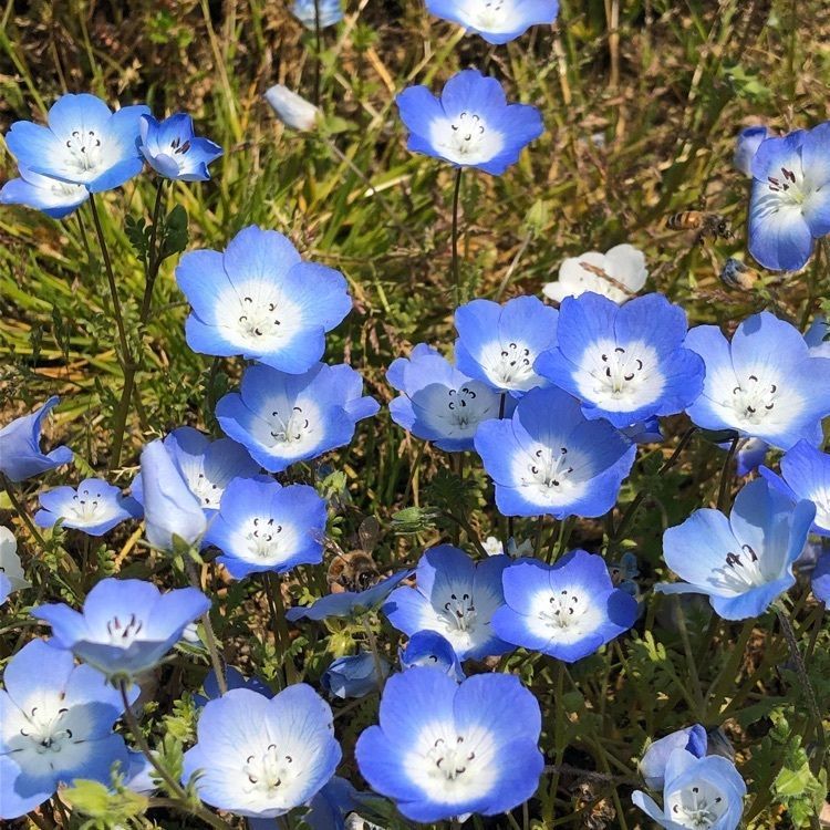junkunさんが投稿した花夢の里ロクタンに関する口コミの画像