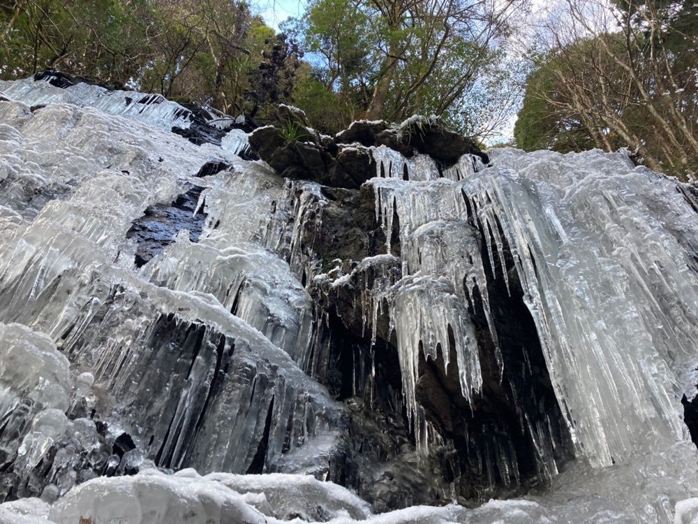 Howl Monさんが投稿した水月院に関する口コミの画像